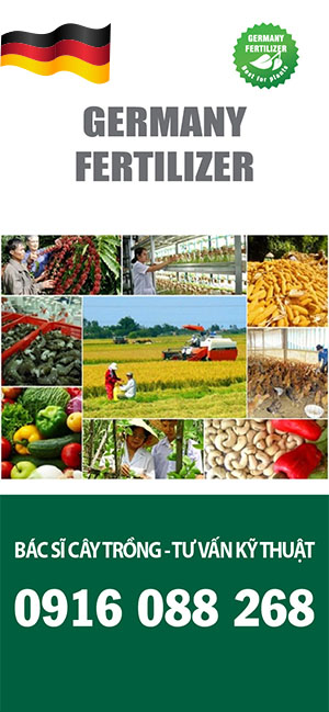 Banner tu van ky thuat